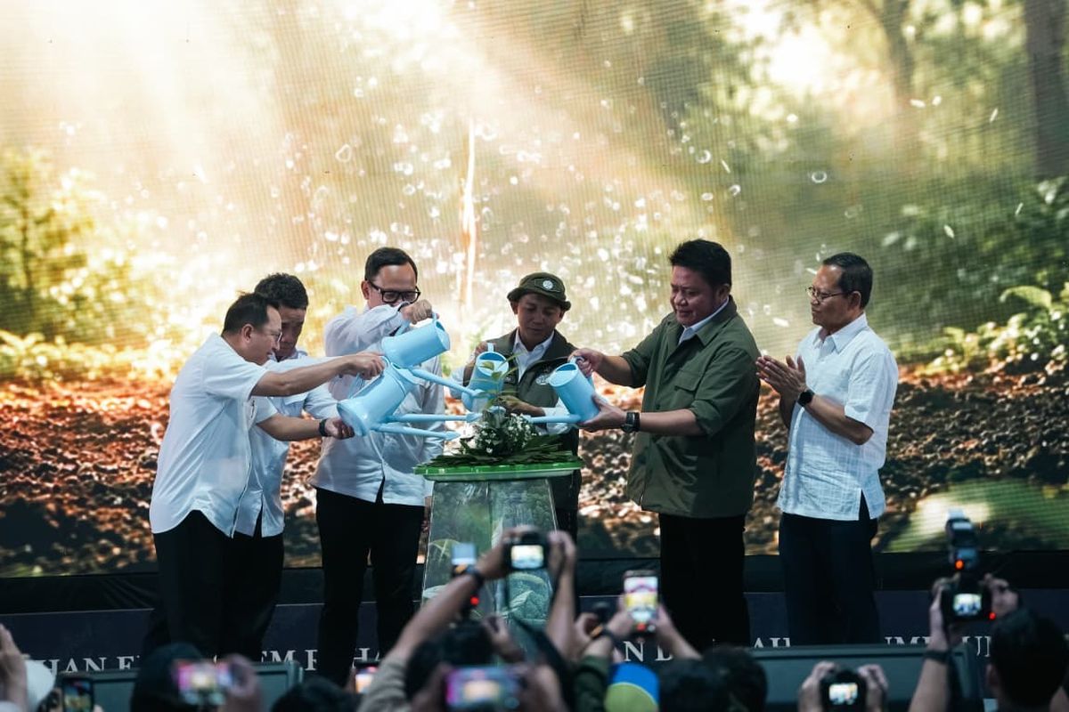 El Nino Percepat Kemarau, Karhutla Sumsel Jadi Fokus Utama Pemerintah