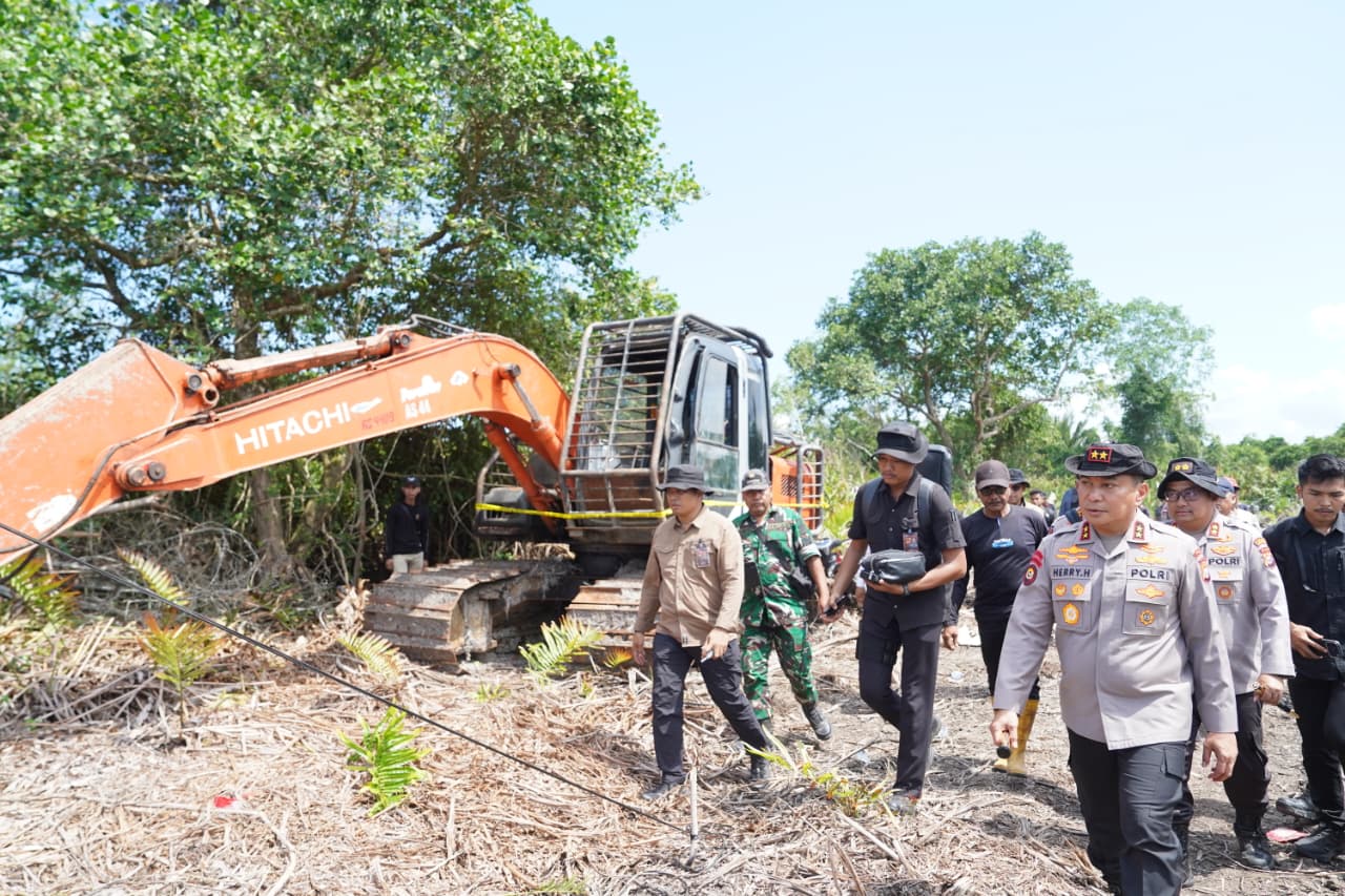 Perambahan Mangrove 118 Hektare di Riau: Kapolda Turun Tangan, 2 Tersangka Diamankan