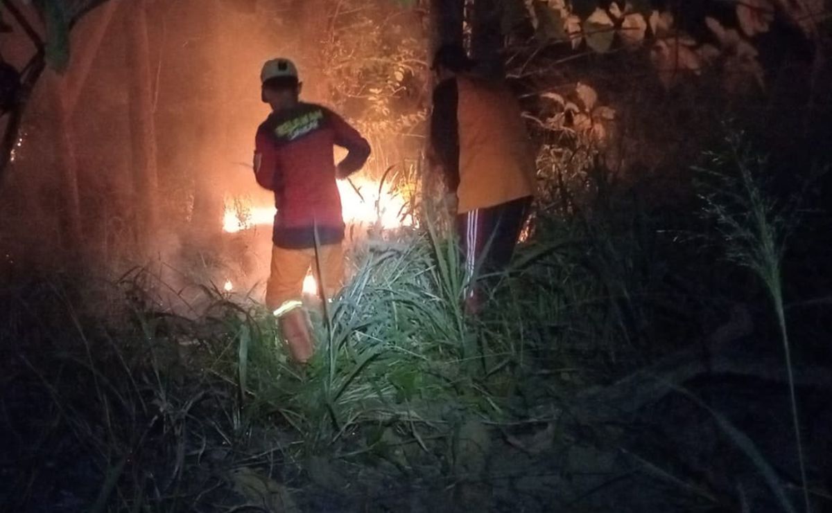 11 Hektare Lahan di Pulau Jawa Dilalap Api, Upaya Pemadaman Masih Berlangsung