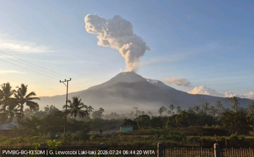 Aktivitas Vulkanik Meningkat, Gunung Lewotobi Laki-Laki Semburkan Kolom Abu Vulkanik Setinggi 1.600 Meter