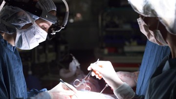 Di Balik Gurauan "Jual Ginjal": Menyingkap Kompleksitas Transplantasi Ginjal di Indonesia