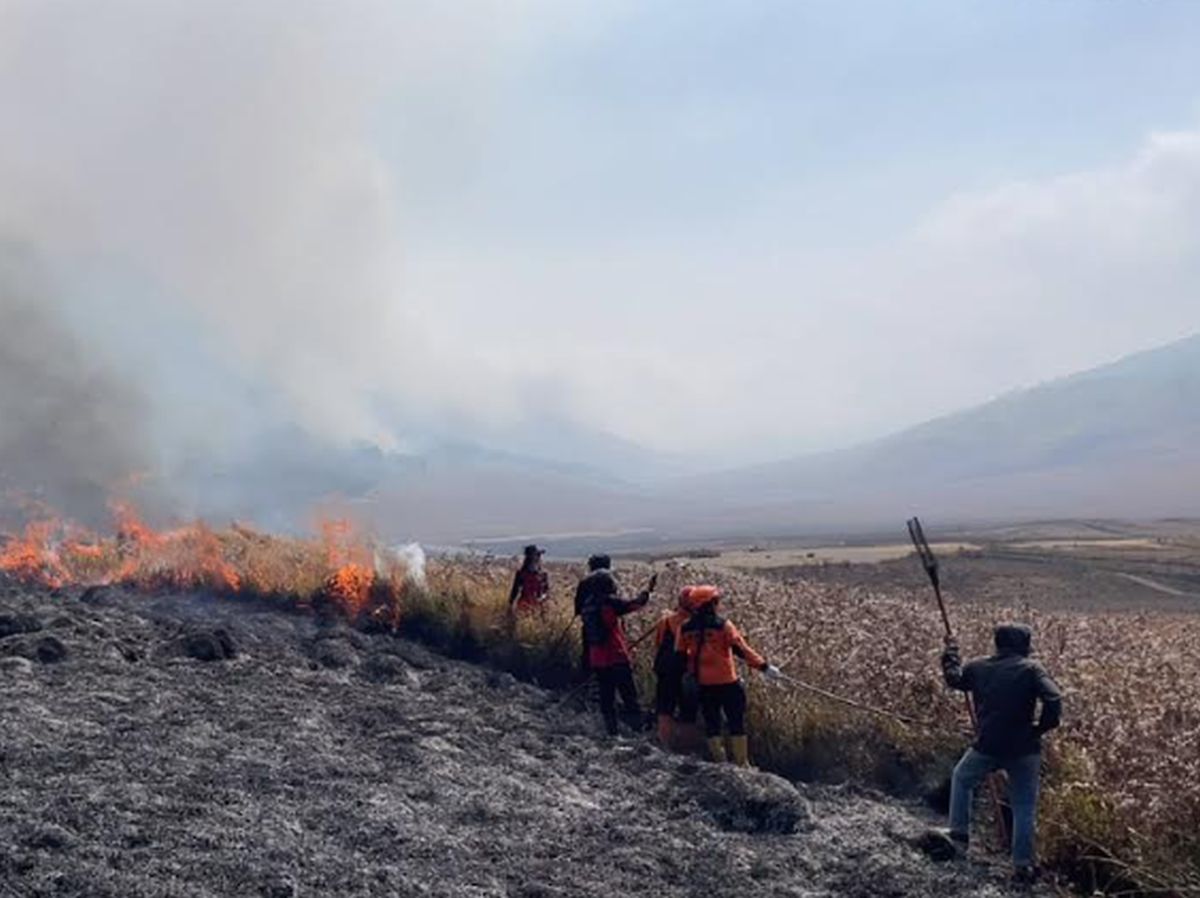 Kebakaran Hebat Melanda Kawasan Gunung Bromo, Lahan 60 Hektare Hangus, Akses Wisata Ditutup