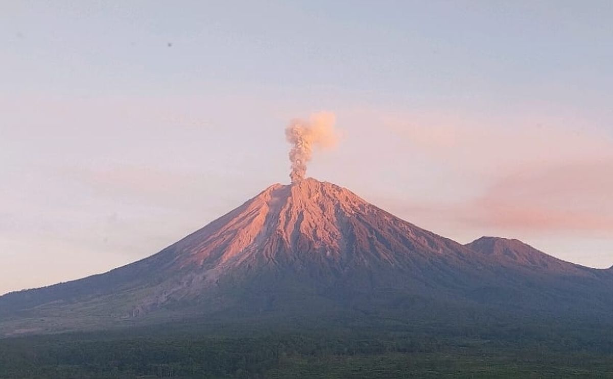 Erupsi Semeru Kembali Guncang Langit Jawa Timur, Kolom Abu Vulkanik Teramati Hingga 800 Meter
