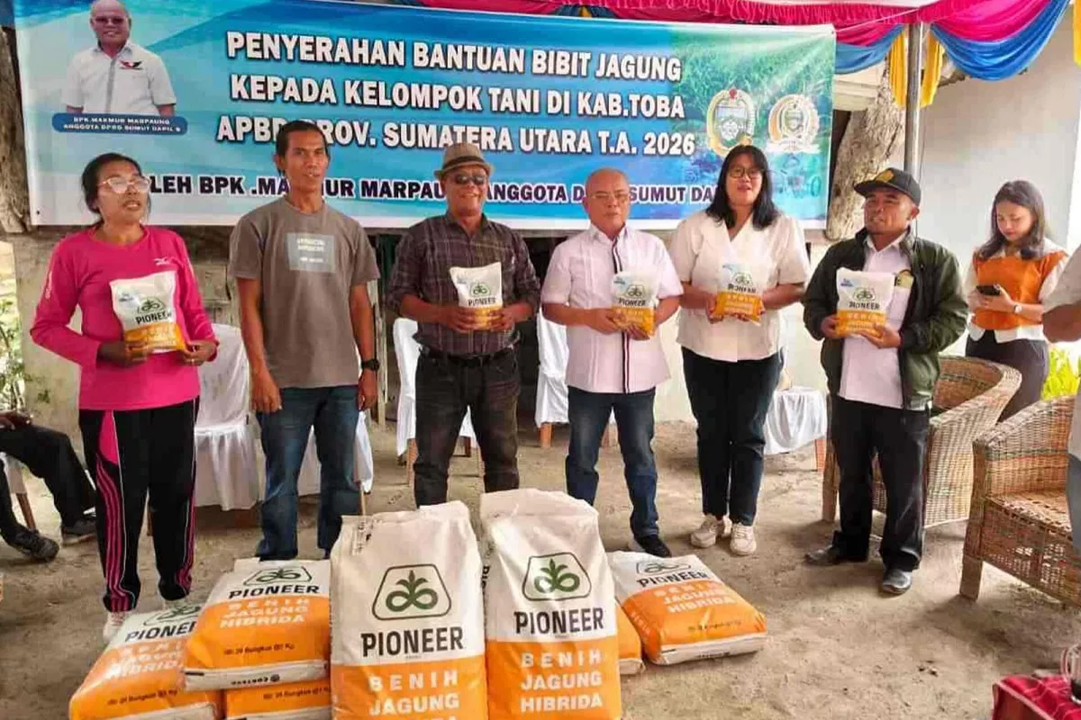 Dukungan Penuh untuk Petani Toba: Makmur Marpaung Distribusikan 1 Ton Bibit Jagung Unggul