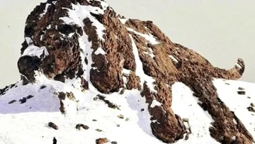 Tes Ilusi Optik: Ungkap Sisi Tersembunyi Kepribadian Anda Lewat Gambar Anjing atau Gunung