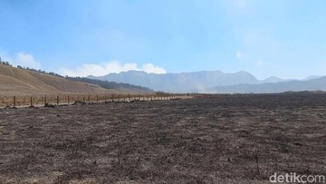 Api Mengamuk di Bromo: Ancaman Ekosistem dan Pariwisata, Kapan Berakhir?