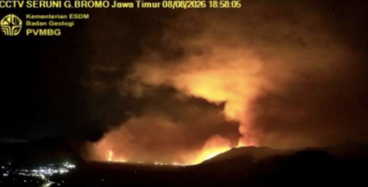 Kebakaran Lahan Meluas di Sekitar Gunung Bromo, Status Waspada Level II Dipertahankan