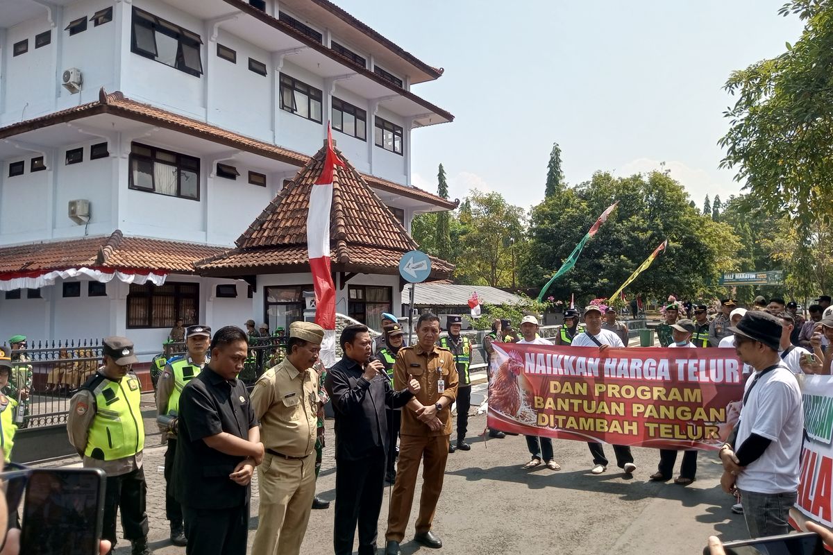Jeritan Peternak Ayam Pekalongan: Harga Telur Anjlok di Tengah Lonjakan Biaya Pakan