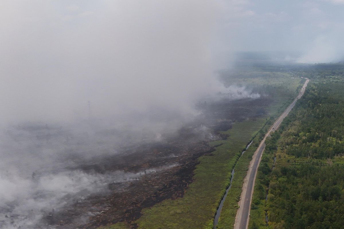 Waspada El Nino, Enam Provinsi Kritis Terancam Kebakaran Hutan dan Lahan