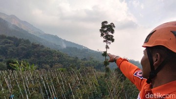 Api Melahap Gunung Andong Magelang, 3,67 Hektare Hutan Terbakar