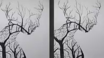 Ungkap Kepribadian Unik Anda Lewat Tes Ilusi Optik Gambar Misterius