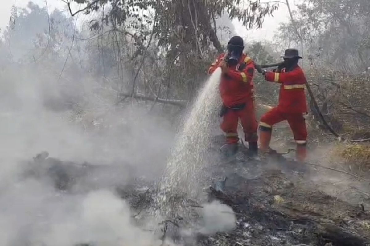 Asap Pekat dan Medan Sulit Hambat Pemadaman Karhutla di Riau