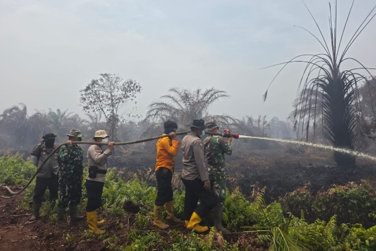 Tiga Titik Api Mengancam Bengkalis, Polisi Ungkap Kendala Tak Terduga dalam Pemadaman Karhutla