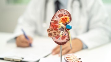 Protein Tinggi dan Ginjal: Mitos atau Fakta? Ini Penjelasan Ahli