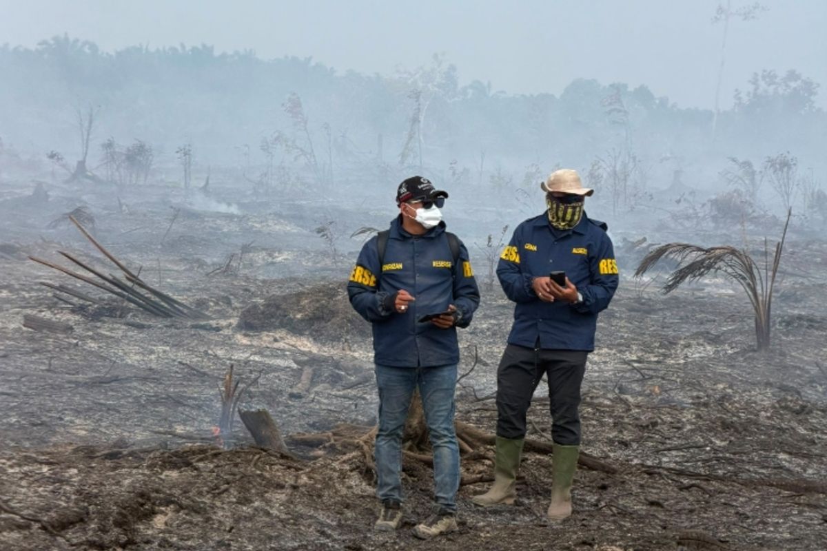 Ayah dan Anak Ditangkap di Riau Terkait Karhutla: Lahan Sawit di Kawasan Konservasi Dibakar