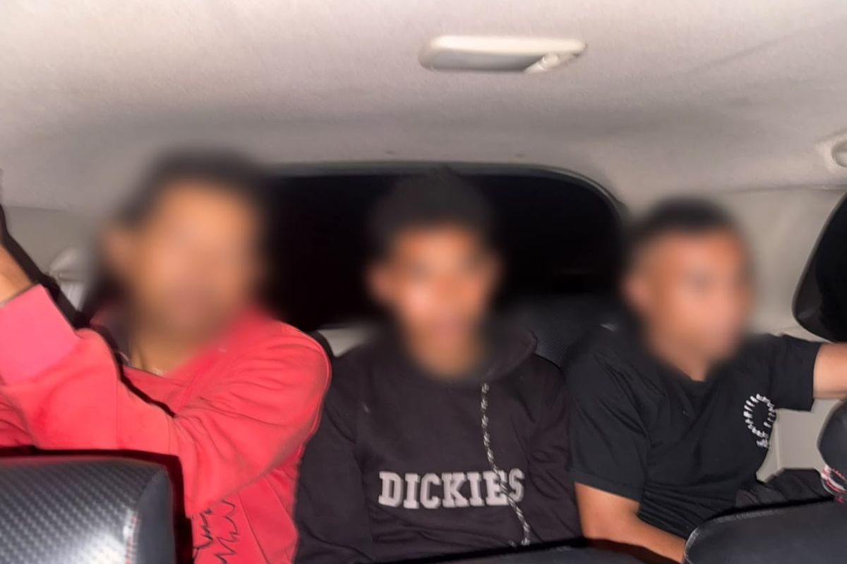 Polisi Ungkap Peran Tiga Pelaku Pembakaran Burung Hantu Hidup-hidup di Manggarai Barat