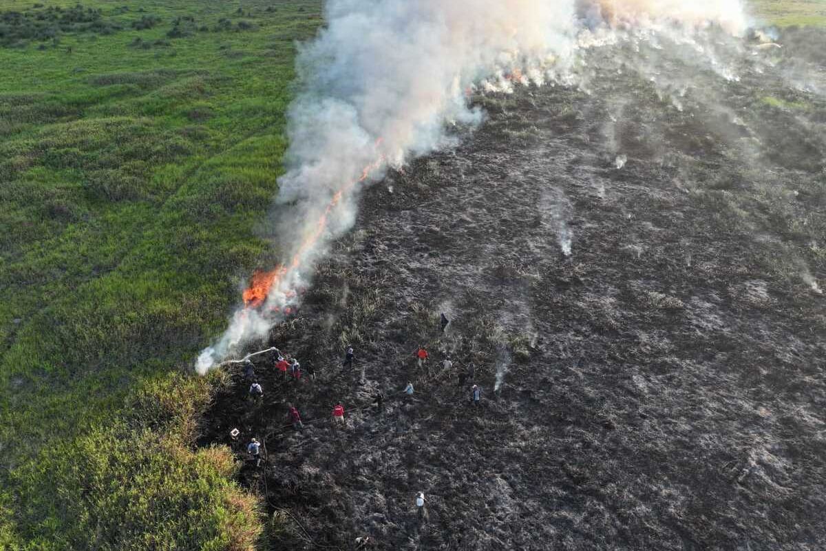 Sumsel Jamin Anggaran Karhutla Tanpa Batas, Efisiensi Ekonomi Tetap Jalan