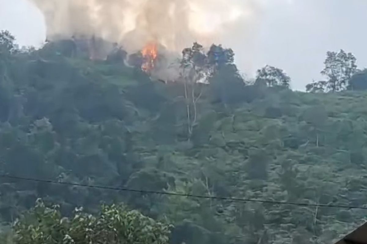 Kobaran Api di Puncak Harau, Warga Cemas Titik Api Dekati Permukiman