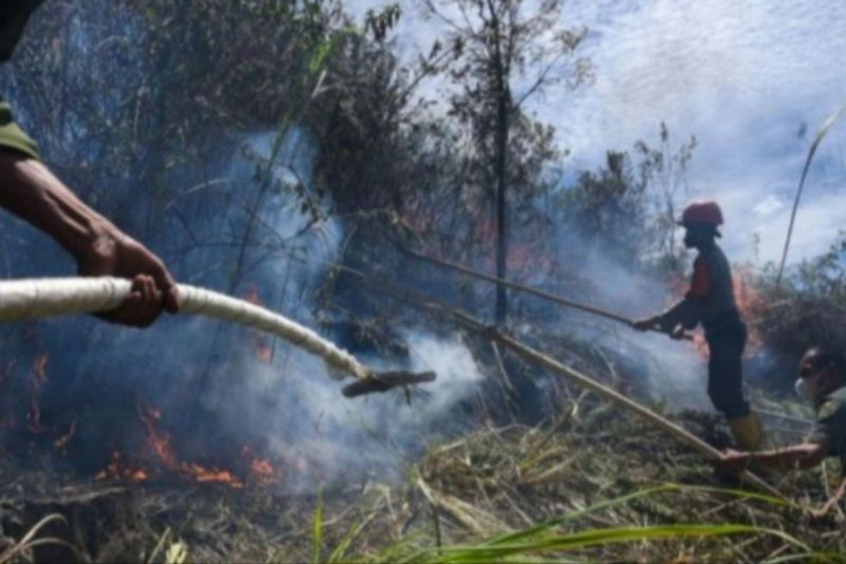 NTB Membara: 139 Titik Panas Terdeteksi, Lonjakan Drastis Akibat Kemarau dan El Nino