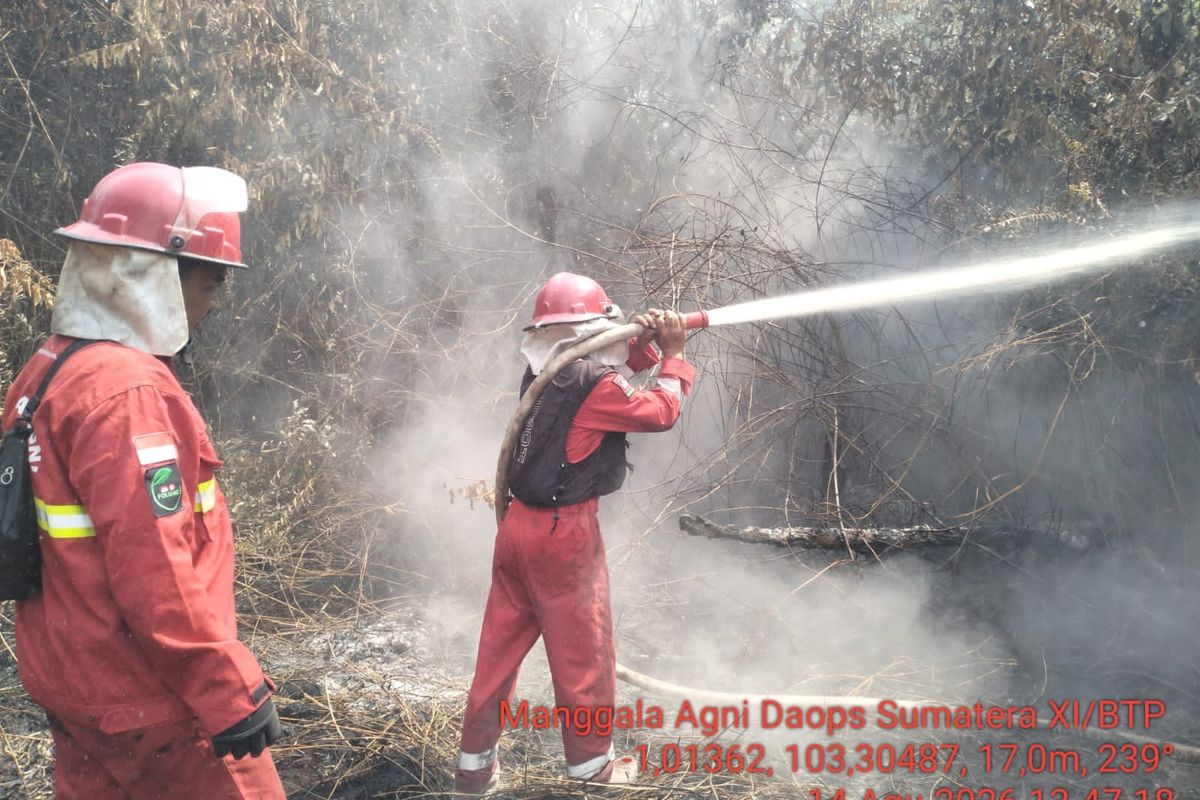 Jambi Diterjang Kebakaran, Ratusan Hektare Lahan Musnah dalam 7 Bulan