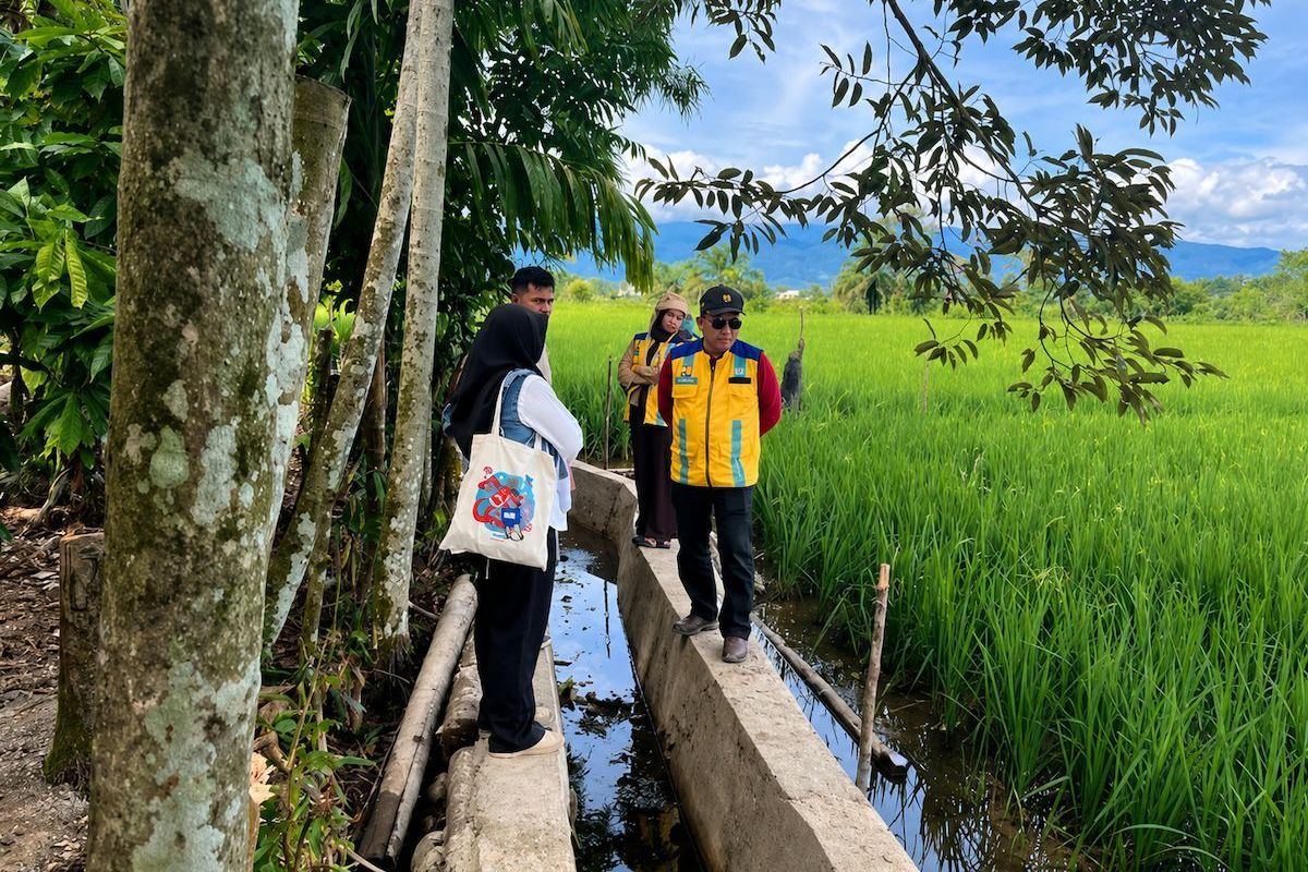 Nagan Raya Gercep Manfaatkan Dana Transfer Daerah untuk Pulihkan Sawah Petani Jelang Musim Tanam