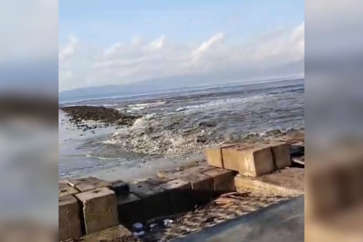 Gempa M7,7 Guncang NTT, Peringatan Dini Tsunami Berlaku di Pesisir Buton