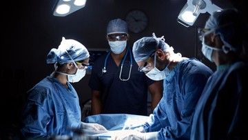 Keajaiban Tubuh Manusia: Organ Vital yang Bisa Beradaptasi Tanpa Keberadaannya