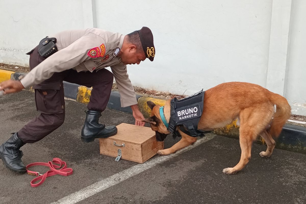 Anjing K9 Polri Dikirim ke NTT, Perkuat Tim SAR Korban Gempa