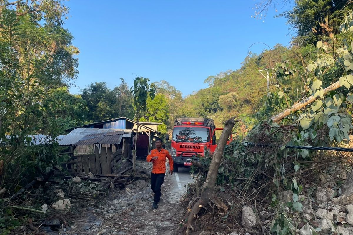 Gempa NTT: 53 Nyawa Melayang, Ratusan Terluka Akibat Guncangan M7,7