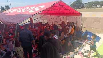 Aksi Kemanusiaan Melanie Subono: Bantuan Esensial Tiba di Flores Pasca Gempa