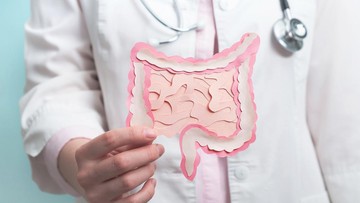 Panduan Ahli Harvard: 7 Pangan Super untuk Usus Optimal dan Perut Ramping