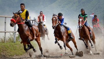 Pacu Kude Gayo: Perayaan Kemerdekaan yang Menggetarkan di Arena Merah Putih Aceh Tengah