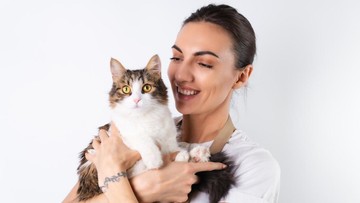 Terkuak! 5 Sifat Khas yang Sering Dimiliki Pecinta Kucing, Benarkah Anda Salah Satunya?