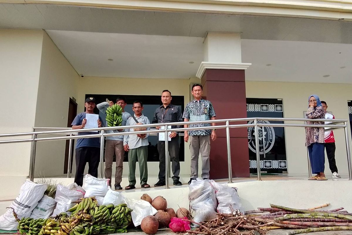 Sengketa Rp 22 Miliar: Petani Lebong Hadapi Gugatan Balik PGE Terkait Kerusakan Sawah