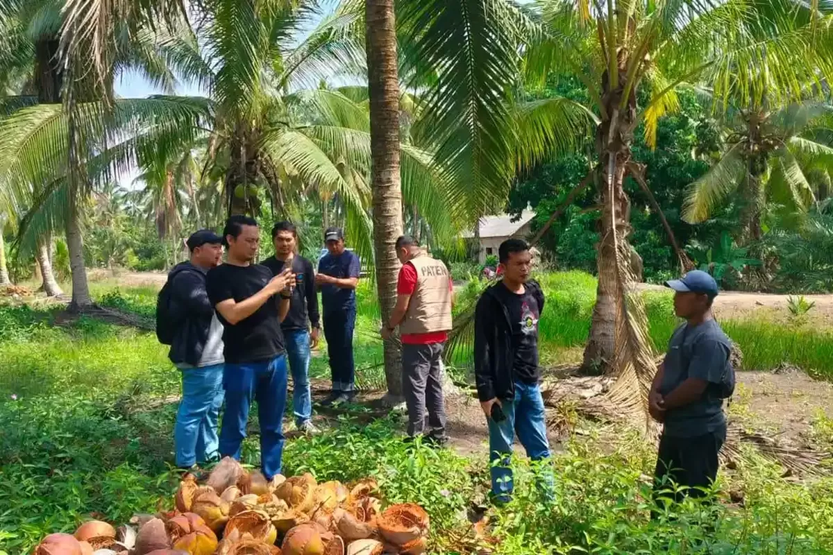 Oknum Polisi Diduga Terlibat dalam Kasus Pencurian Kelapa Rp 60 Juta di Banyuasin, Polda Sumsel Buka Suara