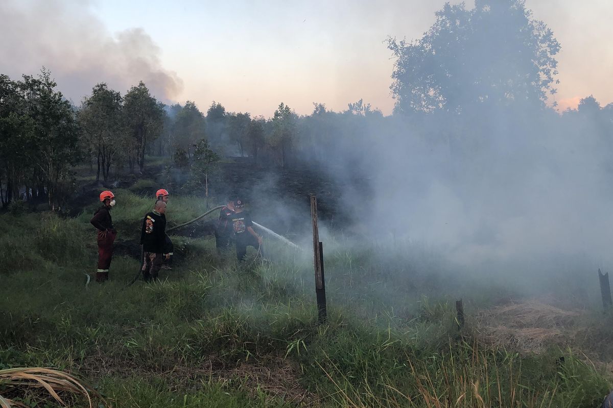 Ancaman Kebakaran Hutan Meluas di Kotim, Sumber Air Pemadaman Terancam Kering