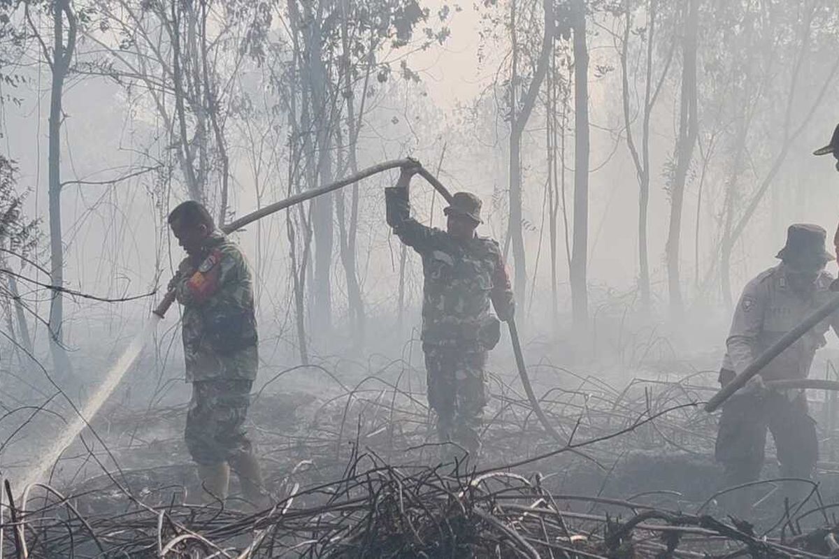 Kampar Riau Dilanda Kebakaran Gambut Meluas, Tim Gabungan Hadapi Krisis Air