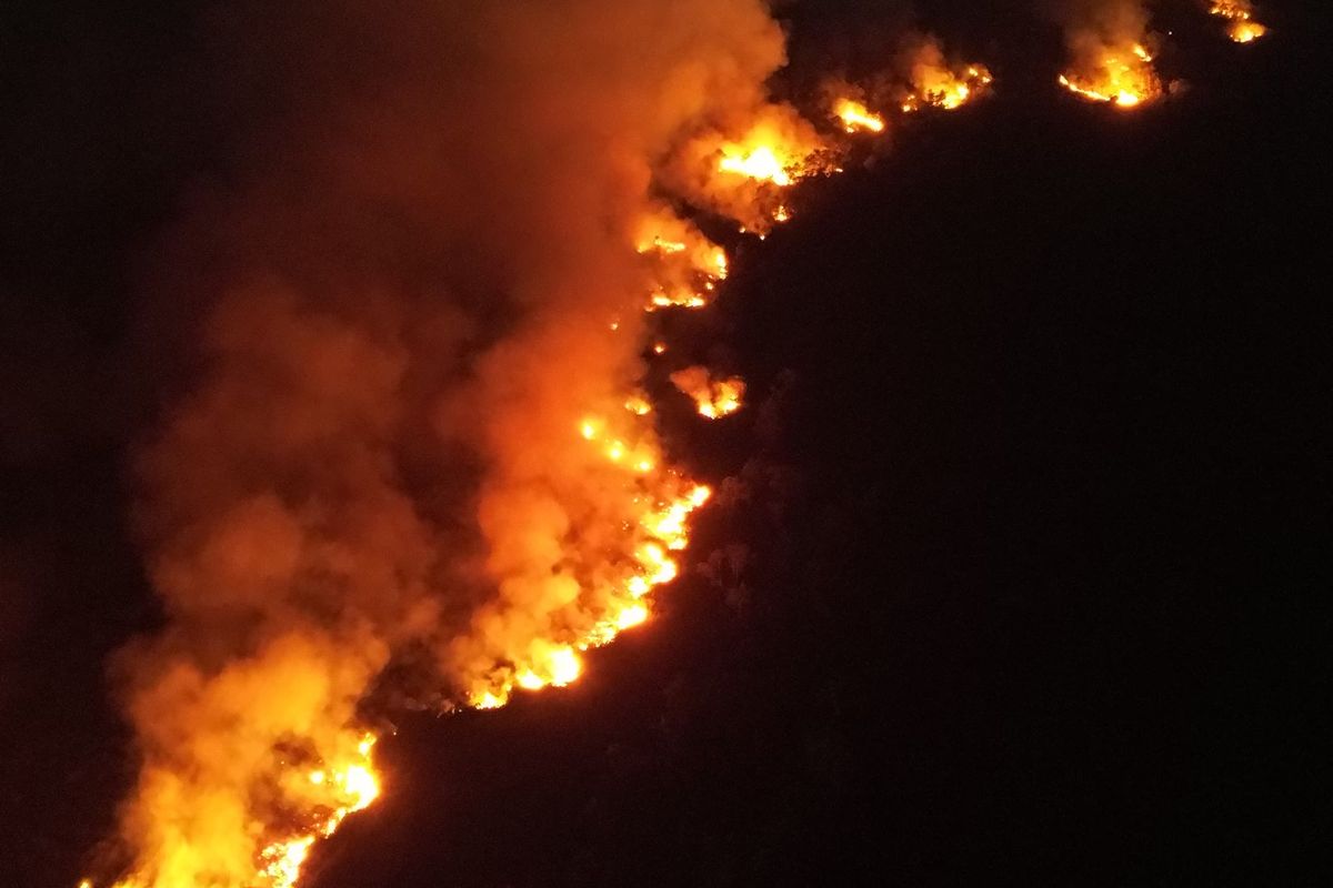 Api Mengamuk di Kutai Kartanegara: Lahan Gambut 100 Hektare Terbakar, Pemadaman Terkendala Medan Sulit
