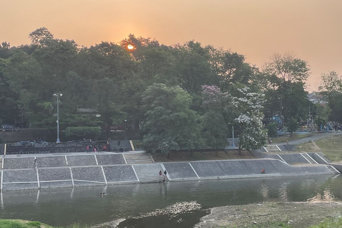Pesona Banjir Kanal Barat Semarang: Sungai Surut Bertabur Keindahan Bunga Tabebuya di Senja Hari