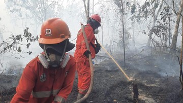 Kabut Asap Selimuti Kota Pontianak, Kualitas Udara Masuk Kategori Sangat Tidak Sehat