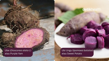 Panduan Memilih Olahan Ube dan Ubi Ungu: Solusi Pewarna Alami yang Sehat untuk Menu Harian