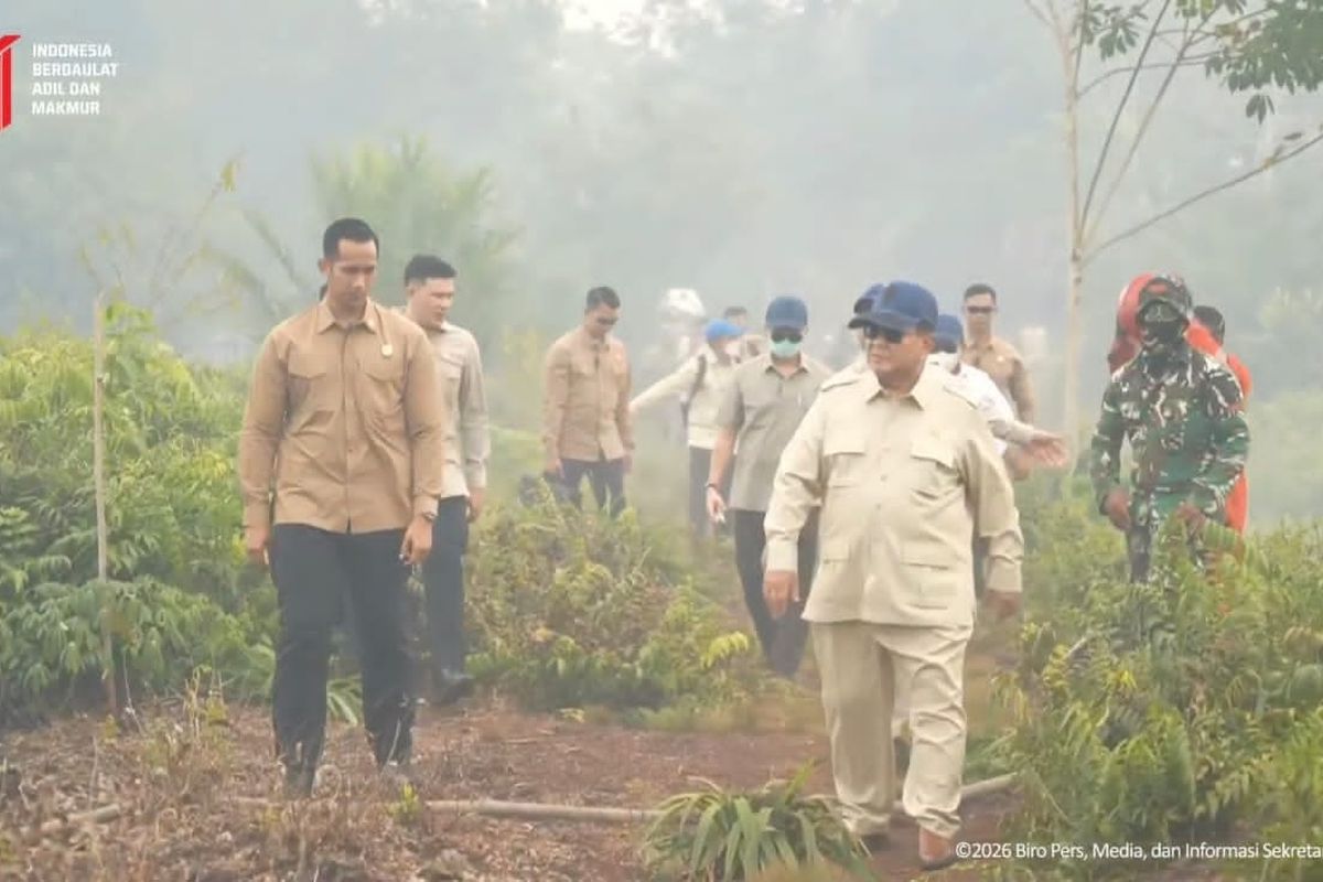 Strategi Penanganan Karhutla: Presiden Prabowo Tinjau Titik Pemadaman Lahan Gambut di Kalimantan Barat