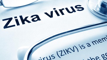 Kewaspadaan Perjalanan Meningkat Usai CDC Rilis Peringatan Kesehatan Virus Zika di Wilayah Bali