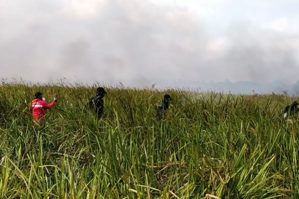 Prajurit Yonif TP 943/Darah Putih Cakti mengerahkan drone untuk membantu pemadaman karhutla di Taman Nasional Way Kambas (TNWK), Lampung Timur.
(Dok Kodam XXI/Radin Inten)