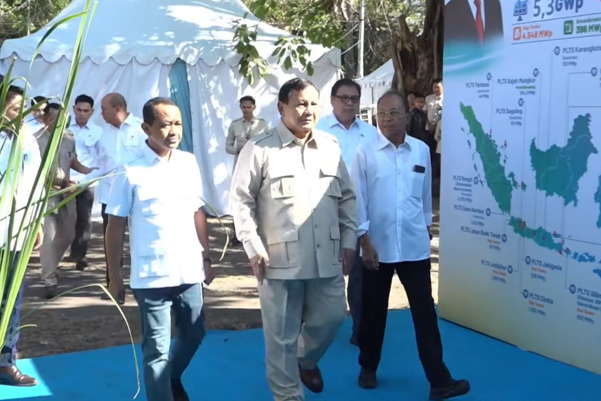 Langkah Transisi Energi Bersih, Presiden Prabowo Resmikan Proyek PLTS 100 GWp di Bali