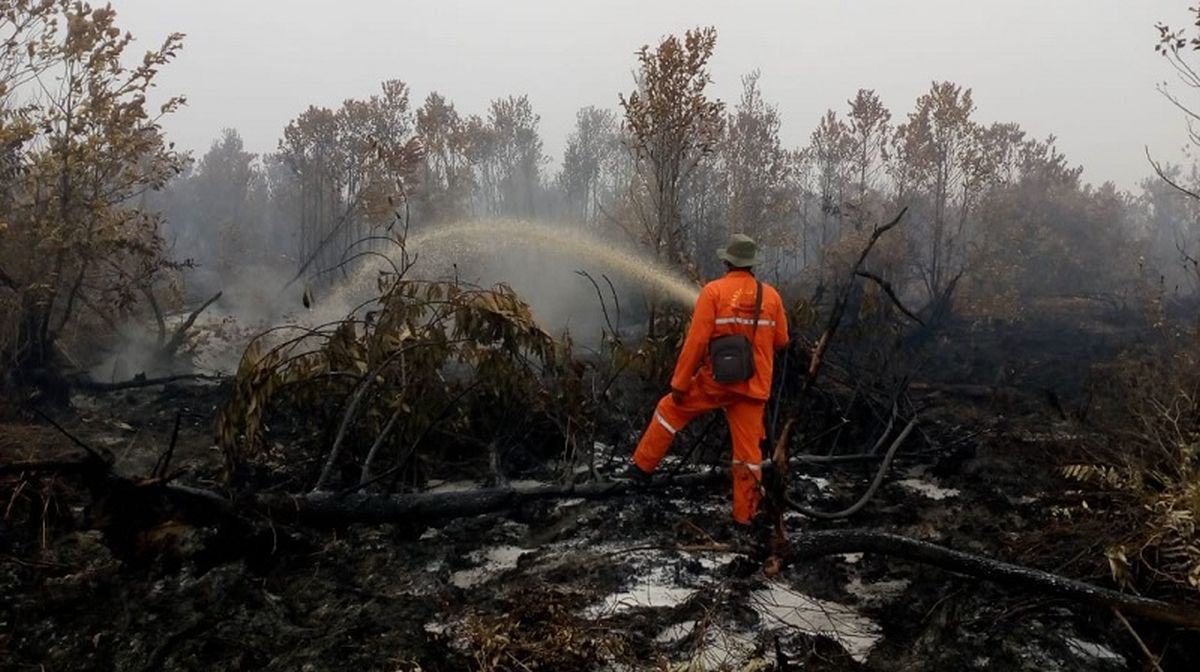 Upaya Intensif BNPB Tangani Sebaran Kebakaran Hutan di Wilayah Kalimantan
