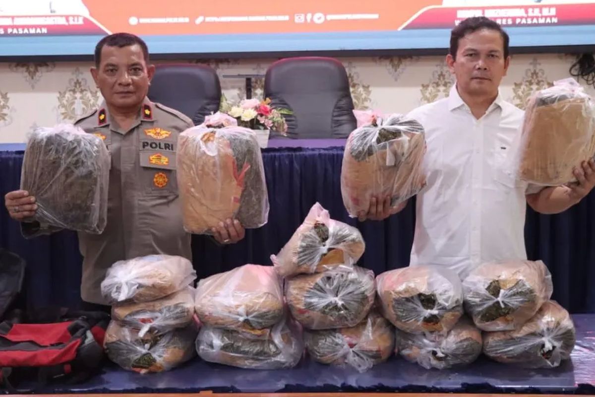 Remaja 17 Tahun Terlibat Kasus Peredaran 16 Kilogram Ganja di Pasaman