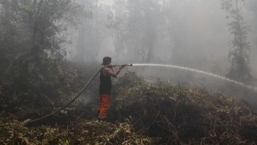 Waspada Karhutla: Kalimantan Tengah dan Kalimantan Barat Catat Lonjakan Titik Panas
