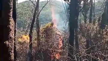 Cegah Meluasnya Karhutla, Gubernur Jawa Barat Usulkan Penutupan Jalur Pendakian Gunung