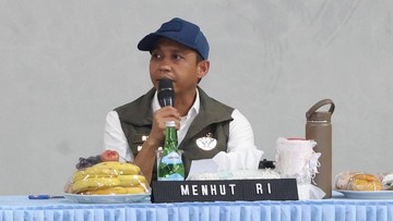 Langkah Tegas Pemerintah: Izin Enam Perusahaan di Kalimantan Bakal Dicabut Akibat Karhutla